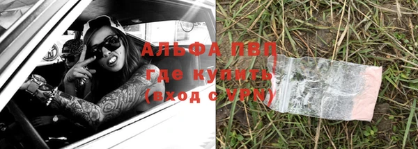 стафф Арсеньев